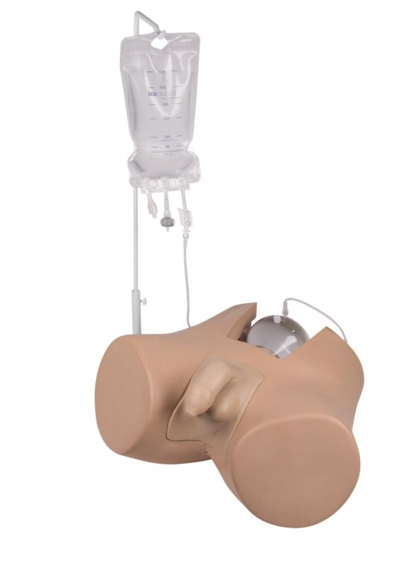 (7040) Bladder Catheterization Simulator Henri, Male