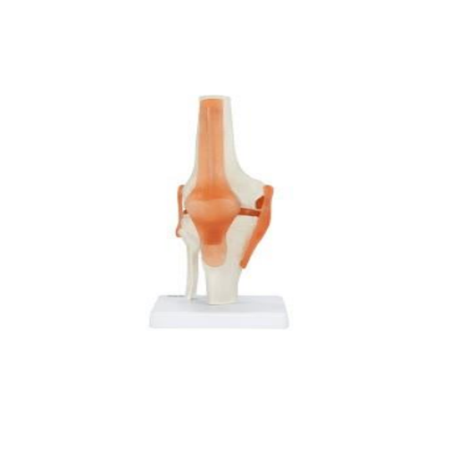 (A-104274) AXIS SCIENTIFIC FLEXIBLE KNEE JOINT 