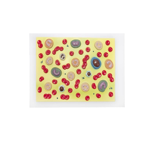 (A-105183) AXIS SCIENTIFIC HUMAN BLOOD CELLS 