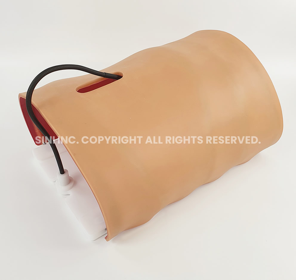 (A-LPL-01) Laparoscopic Body Type Trainer Large