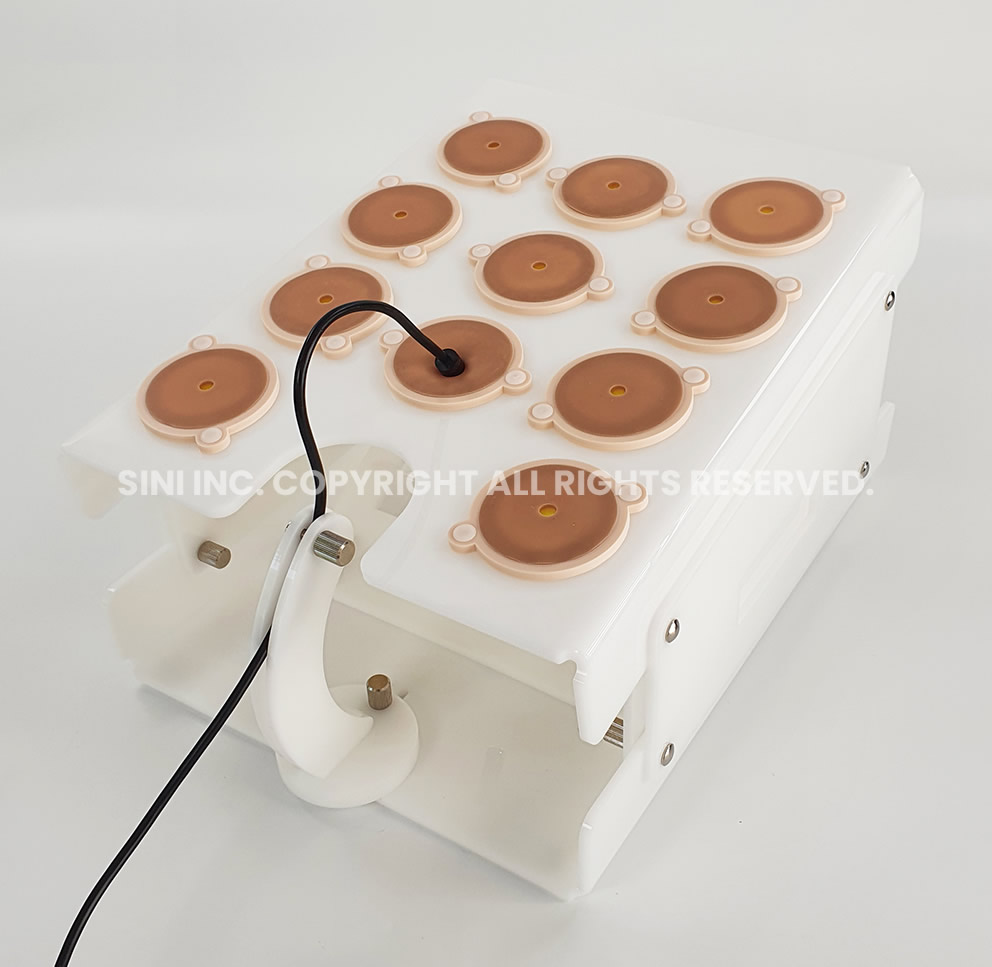 (A-LPP-02) Laparoscopic Portable Trainer