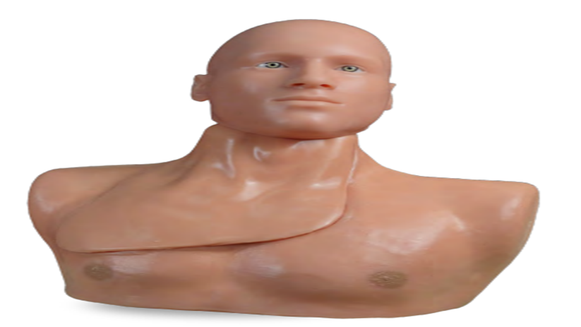  (CLM-51) CENTRALINEMAN SYSTEM WITH ARTICULATING HEAD