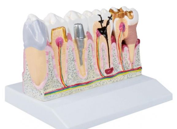 https://jayakelana.co.id/uploads/product/-d250-dental-model-4-74088418ba20bdb_cover.jpg