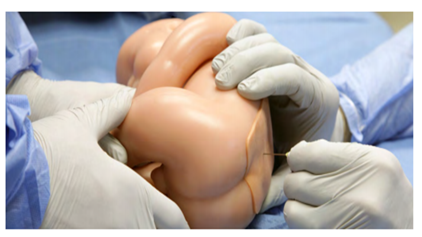 (LPBT-40) LUMBAR PUNCTURE BABY REPLACEABLE TISSUE 