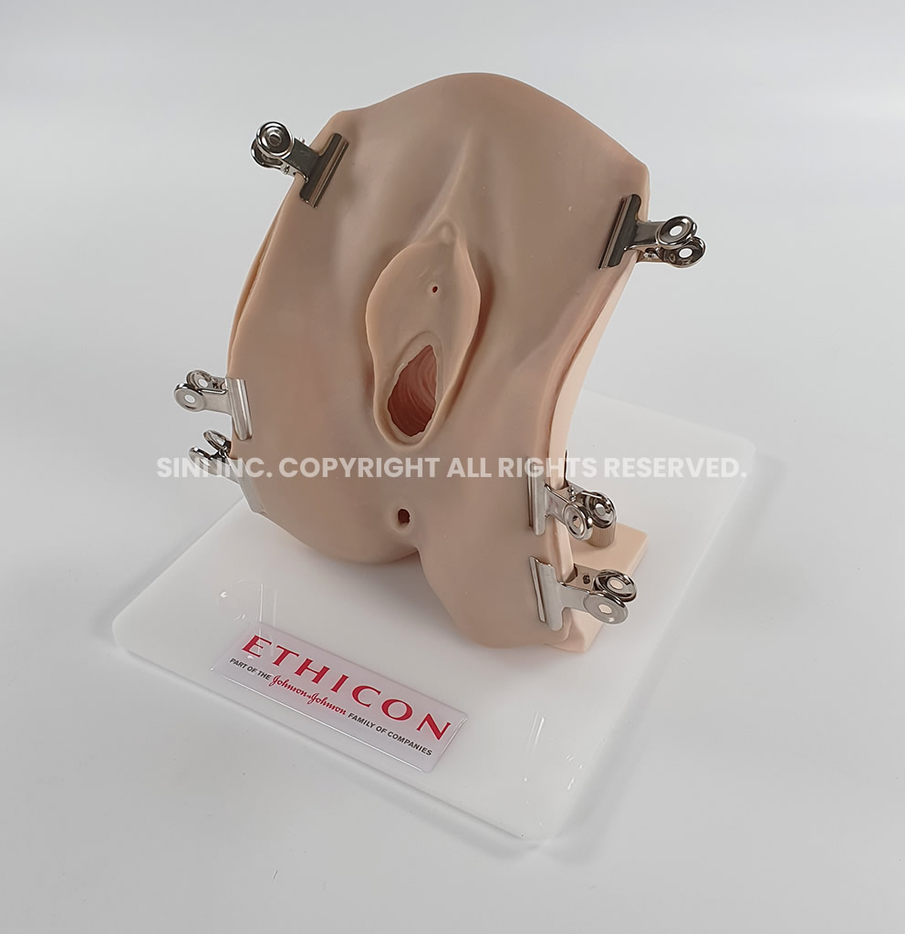 (P-EPI-02) Episiotomy Trainer