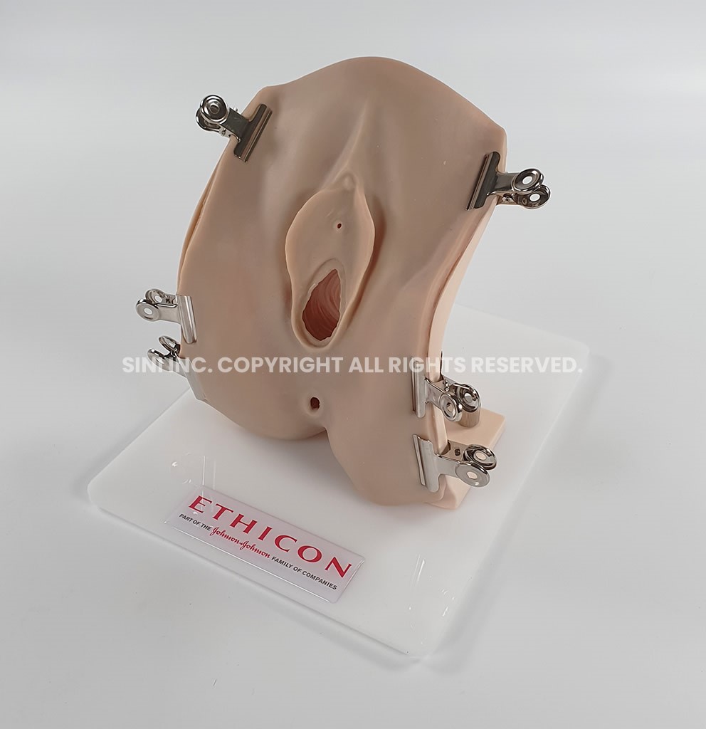 (P-EPI-03) Episiotomy Trainer