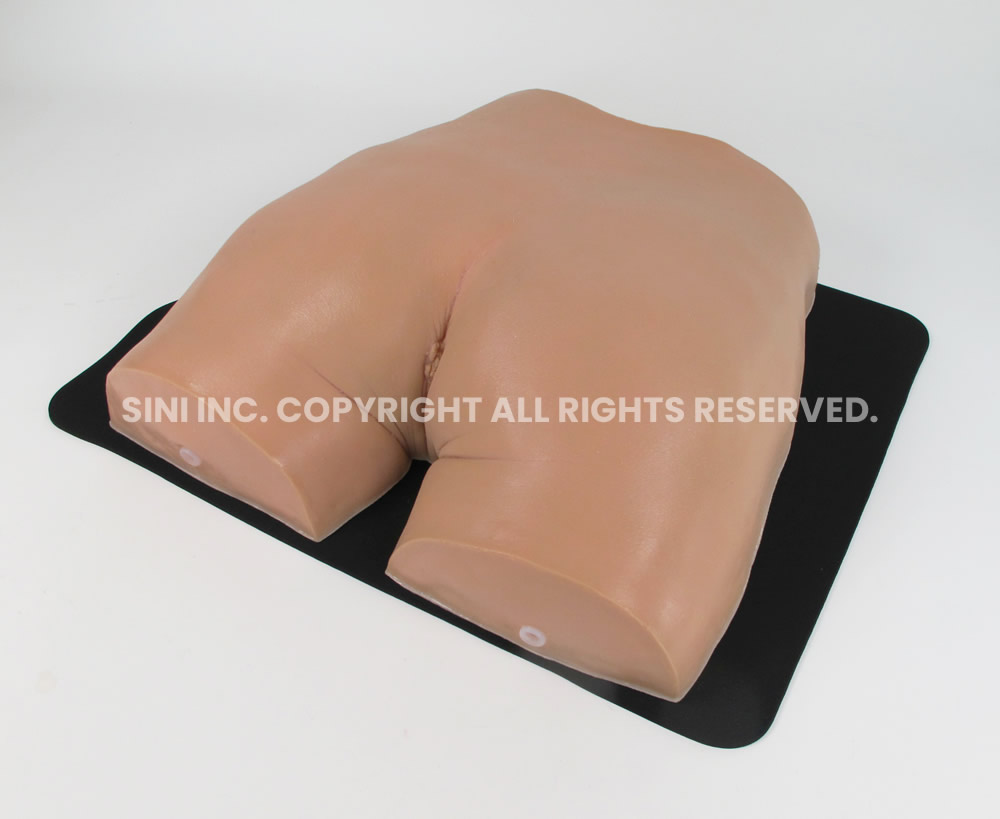 (P-IMG-01) Gluteal Intramuscular Injection