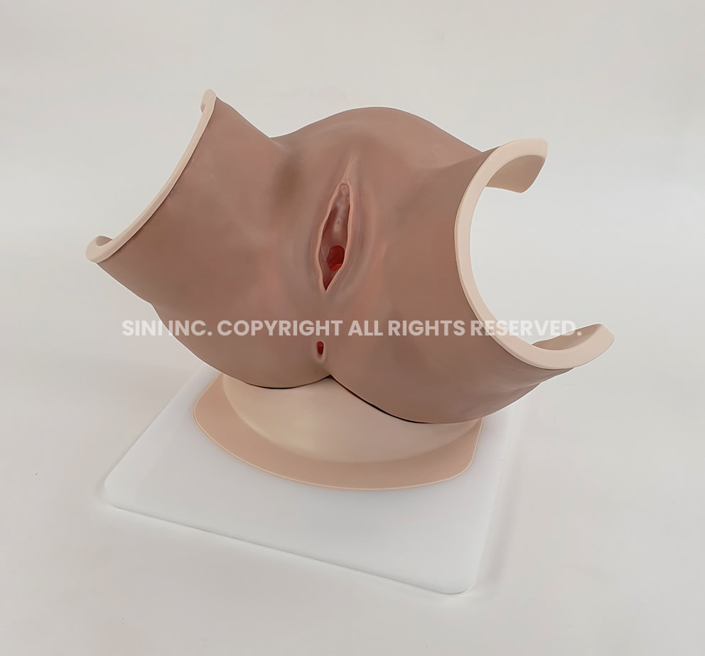 (P-VAG-01) Vaginitis Model