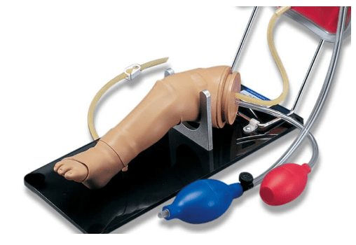(S409) NEWBORN INTRAOSSEOUS INFUSION AND INJECTION LEG SKILLS TRAINER 