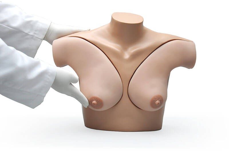 (S230.42) Breast Examination Skills Trainer Torso