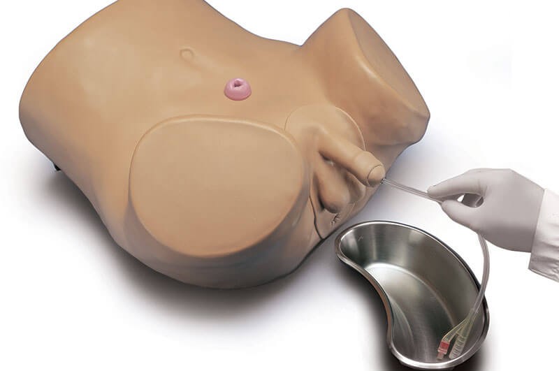 (S230.7) Advanced Patient Care Male Catheterization Skills Trainer