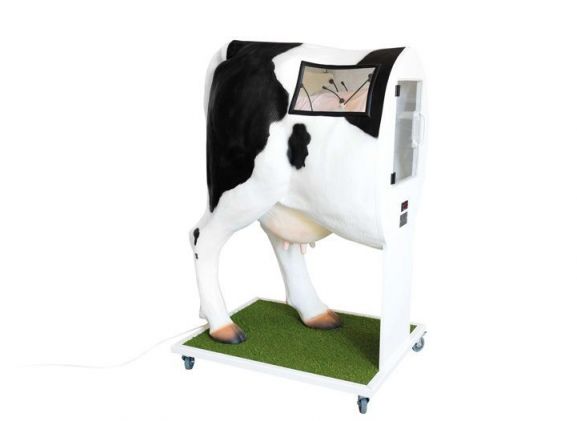 https://jayakelana.co.id/uploads/product/-vet3400-advanced-simulator-for-12111a91b8b3b5c_cover.jpg