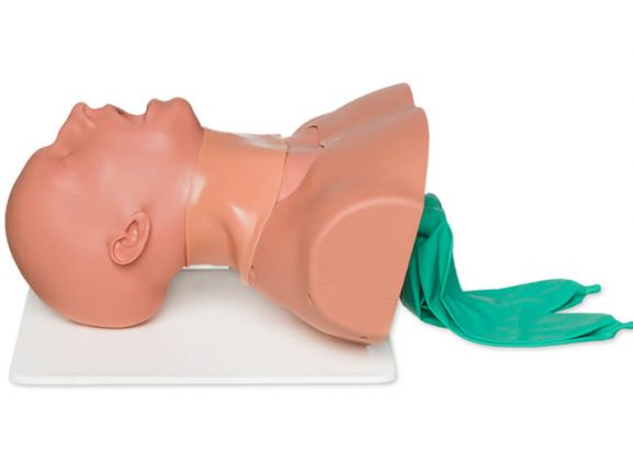 https://jayakelana.co.id/uploads/product/airway-man-pelatih-manajemen-52130121a7b3819_cover.png