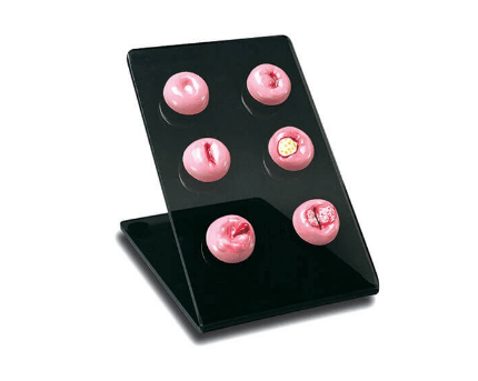 (S505) CERVICAL REPLICAS 