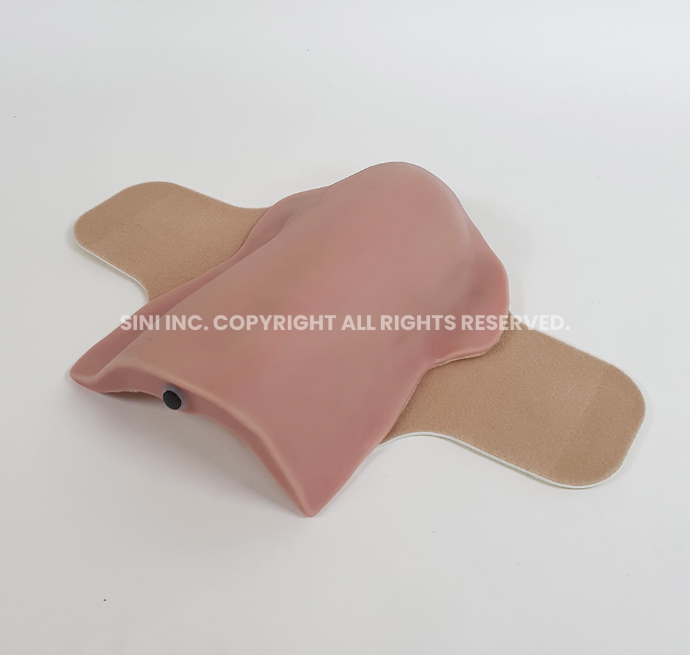 (L-IMD-03) Deltoid Intramuscular Injection Trainer