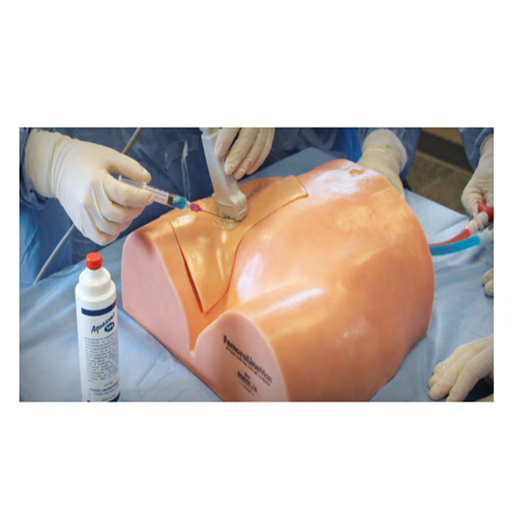 (FLM-50) FEMORALINEMAN SYSTEM 