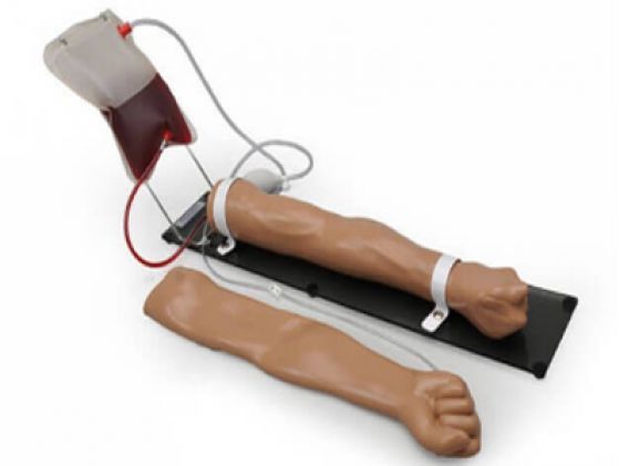 https://jayakelana.co.id/uploads/product/intravenous-iv-training-arm-26763ca941f9b8d_cover.png