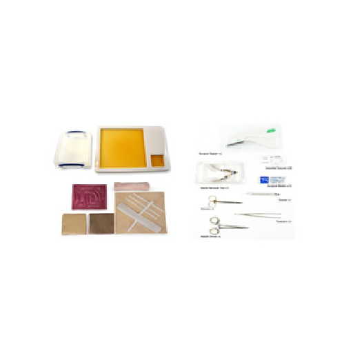 (160320) DELUXE SUTURING KIT 