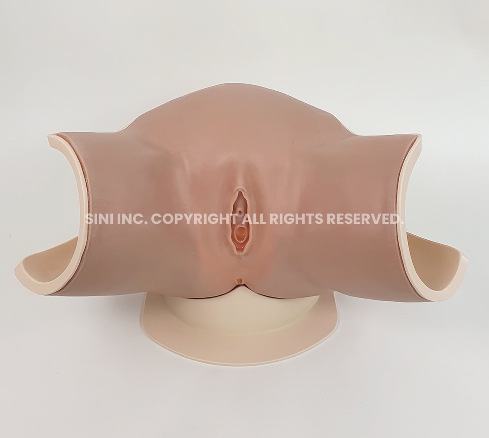 (P-CTA-01/(P-CTA-02) Catheterization Trainer A