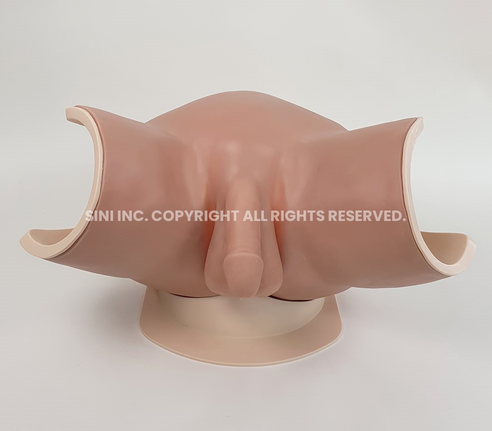 (P-CTA-01/(P-CTA-02) Catheterization Trainer A