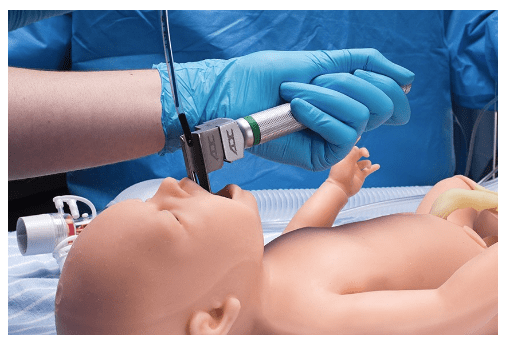 (S109) NEWBORN PEDI - NEWBORN SKILLS TRAINER 