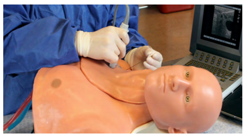 (ISBS-30) REGIONAL ANESTHESIA TRAINER WITH SMARTISSUE