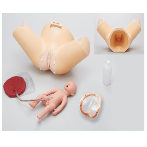 (M184) SAKAMOTO OBSTETRIC ASSISTANT TRAINER 