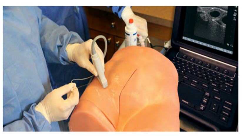 (FNBS-10) REGIONAL ANESTHESIA FEMORAL TRAINER WITH SMARTISSUE 