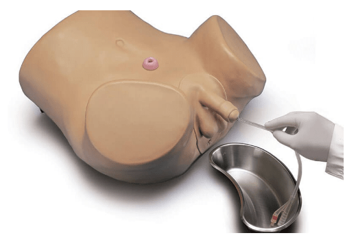 (S230.7) ADVANCED PATIENT CARE MALE CATHETERIZATION SKILLS TRAINER 