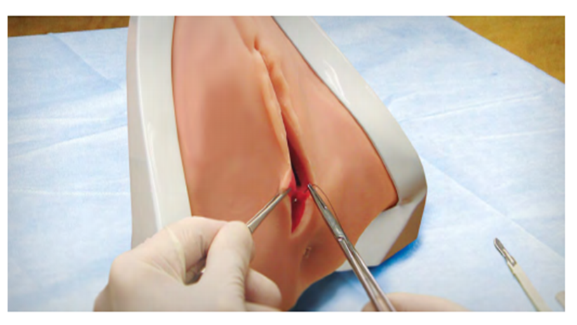 (PRT-20) PERINEAL REPAIR TRAINER 