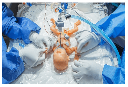 (S108.100) PREMIE HAL - WEEK PRETERM NEWBORN SKILLS TRAINER 