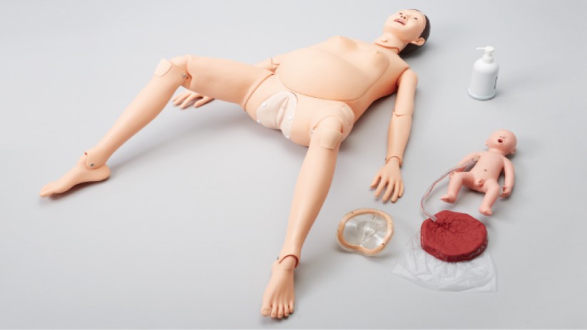 (M186) SAKAMOTO WHOLE BODY PREGNANT MODEL 