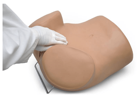 (S503) SIMA GYN/AID&reg; GYNECOLOGIC SIMULATOR 