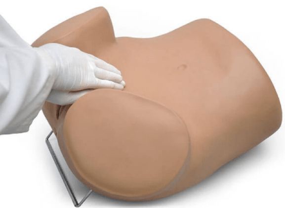 https://jayakelana.co.id/uploads/product/sima-gyn-aid-gynecologic-simulator-133601f6cfe360e_cover.png