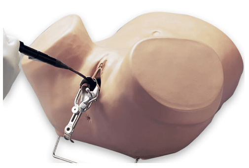 (S607) HYSTEROSCOPY SIMULATOR 