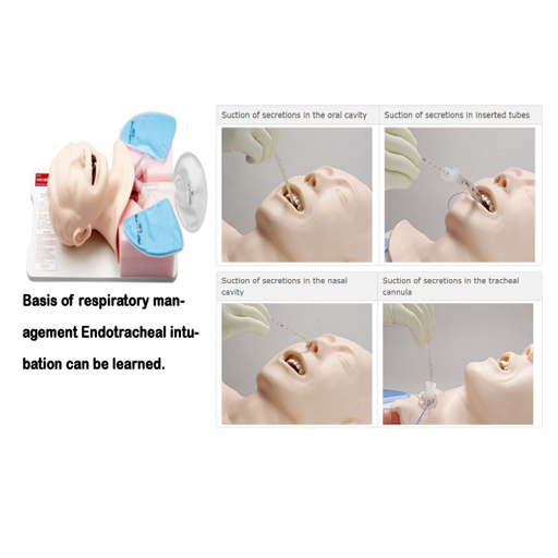 (M175) SAKAMOTO SUCTION SIMULATOR 