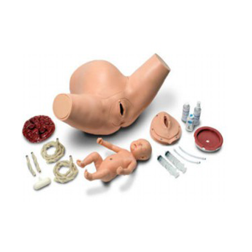 (S500.300) SUPER OB SUSIE - CHILDBIRTH SKILLS TRAINER TORSO 