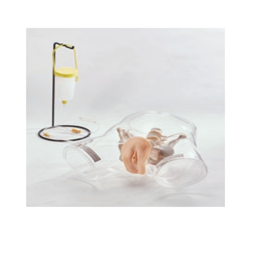(M160) TRANSPARENT FEMALE CATHETER MODEL 