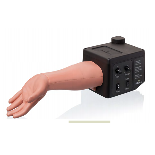 (ALTT-10-L) ULTRASOUND ARTERIALINE REPLACEABLE TISSUE 