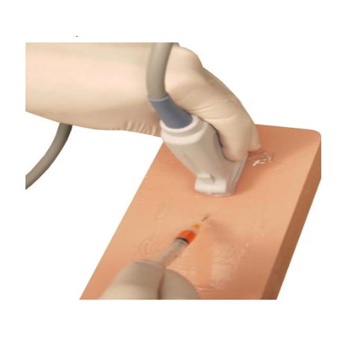 (LVNP-10) VENIPUNCTURE PAD WITH NERVES